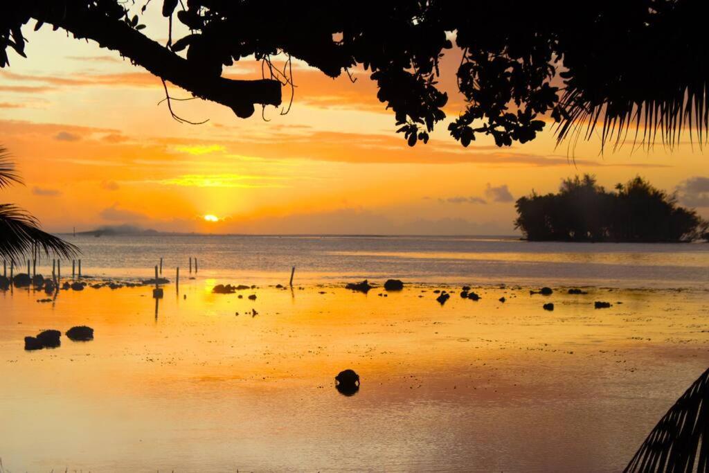 Bungalow Tiarii, Avec Acces Direct A Une Plage Privee Tevaitoa Экстерьер фото